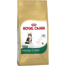 Royal Canin (Роял Канин) Maine Coon Kitten (4 кг)